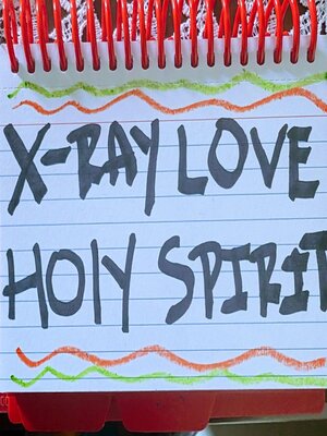 cover image of X-Ray Love